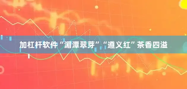 加杠杆软件“湄潭翠芽”“遵义红”茶香四溢