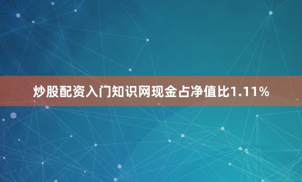 炒股配资入门知识网现金占净值比1.11%