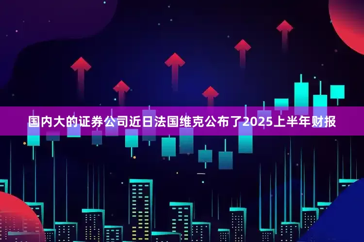 国内大的证券公司近日法国维克公布了2025上半年财报