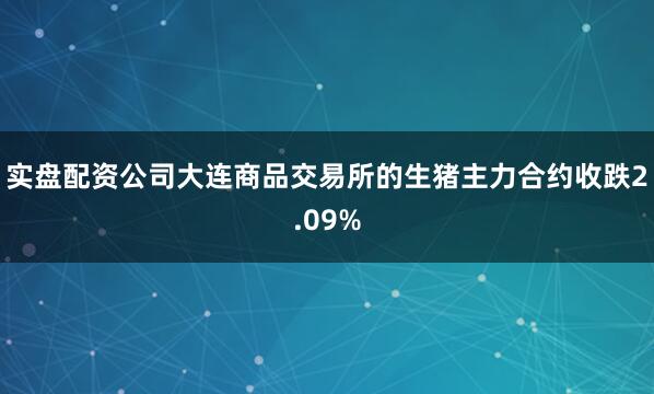 实盘配资公司大连商品交易所的生猪主力合约收跌2.09%