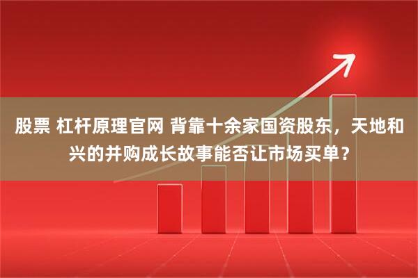 股票 杠杆原理官网 背靠十余家国资股东，天地和兴的并购成长故事能否让市场买单？